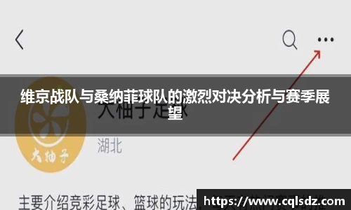 维京战队与桑纳菲球队的激烈对决分析与赛季展望